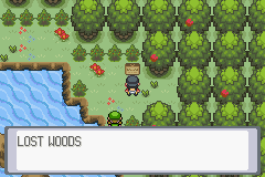 Entrada de Lost Woods